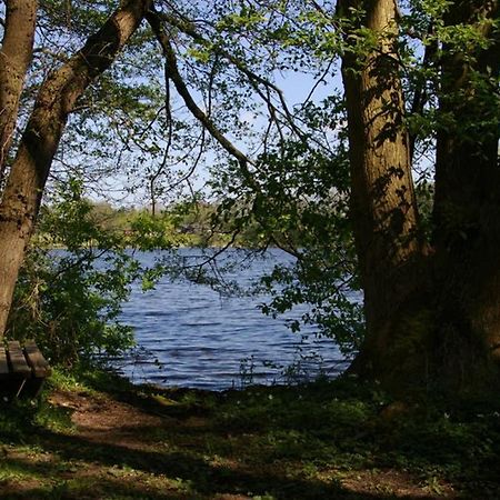 Fewo Am See 15A Klein Wittensee المظهر الخارجي الصورة