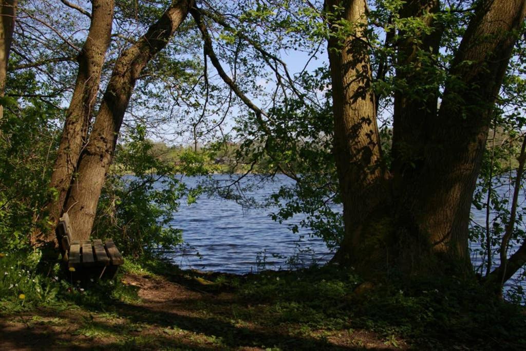 Fewo Am See 15A Klein Wittensee المظهر الخارجي الصورة