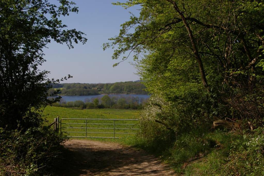 Fewo Am See 15A Klein Wittensee المظهر الخارجي الصورة